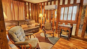 Télévision, cheminée, lecteur de DVD