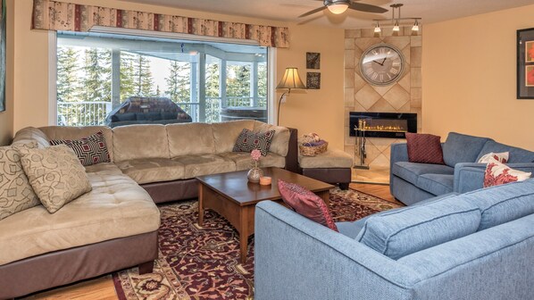 TV, fireplace, DVD player, books