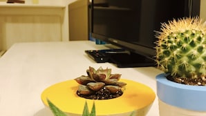 Una mesa con dos plantas en macetas, un televisor y una estantería con objetos.
