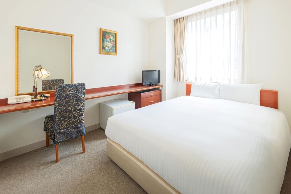 Habitación de hotel con cama, escritorio, silla, televisor y un espejo grande.