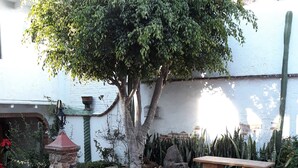 Jardín