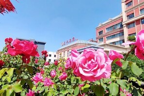 Garden - Dongdu Hotel (TAIAN)