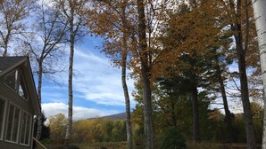 Una cabaña con terraza, rodeada de árboles y un bosque.