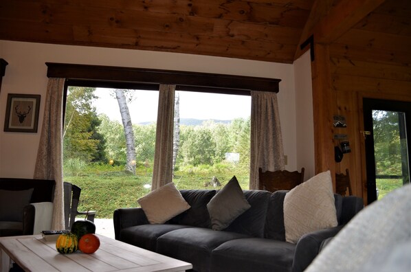 Smart TV, fireplace, video games, DVD player