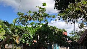 A residential area with a grassy lawn, a palm tree, and a row of tires repurposed as planters. - Anne's Place (La Fortuna)