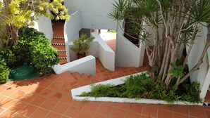 Un patio con suelo de baldosas, paredes blancas y diversas plantas, incluyendo un árbol y arbustos.