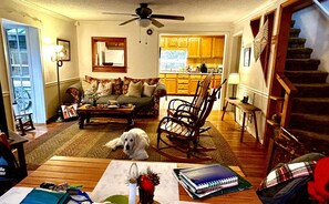 Smart TV, fireplace, DVD player, books
