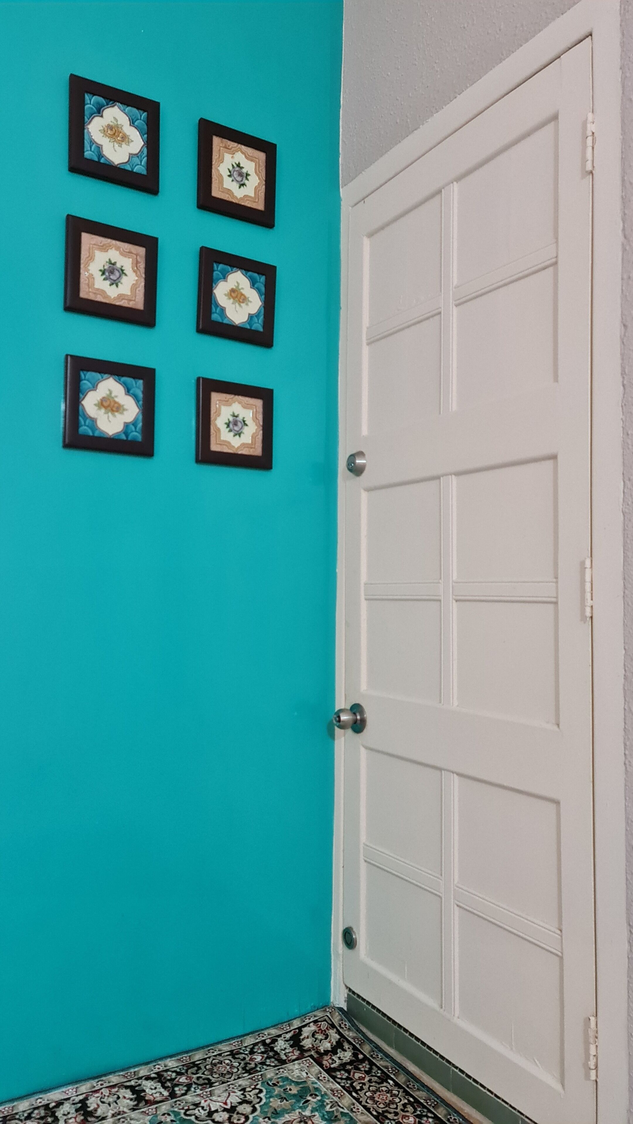 A teal wall with six framed floral designs and a white door with a silver handle.