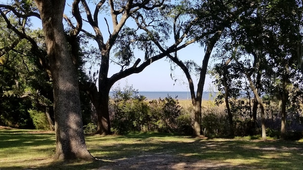 Een natuurlijk landschap met bomen en uitzicht op zee.