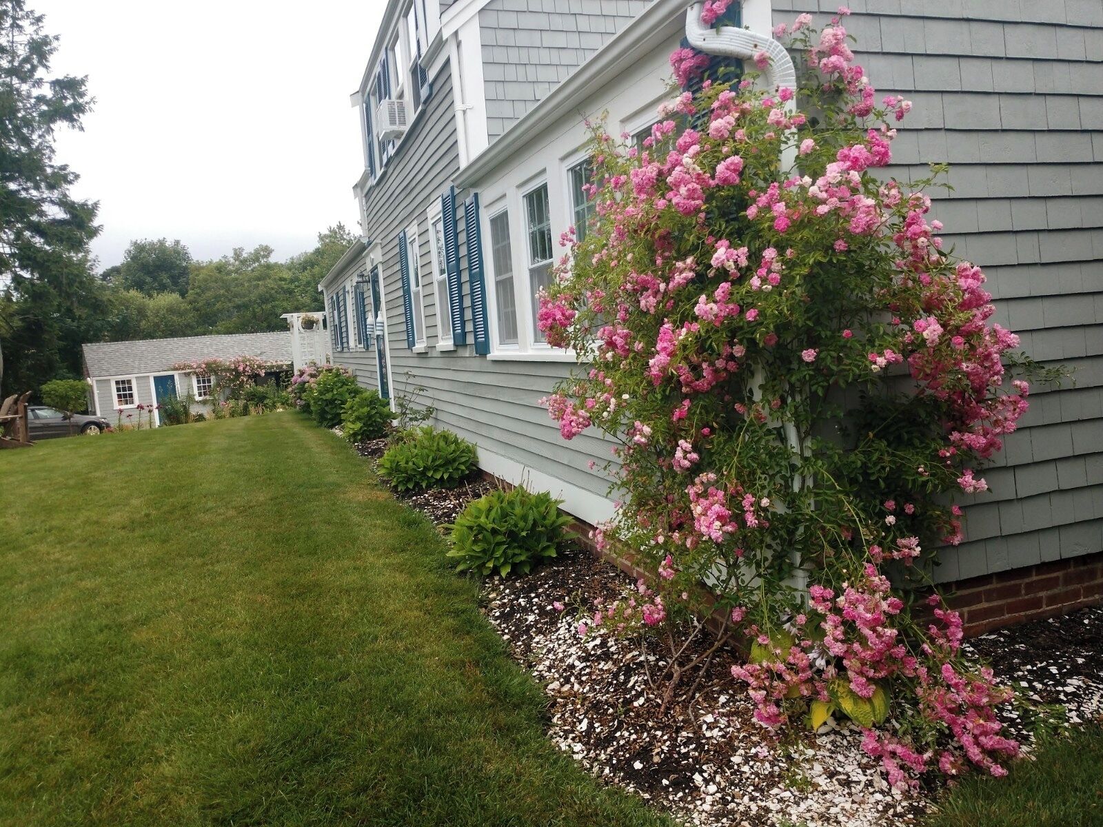 Terrain de l’hébergement 