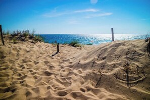 Una playa arenosa con una vista despejada del océano.