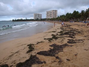 Serviettes de plage