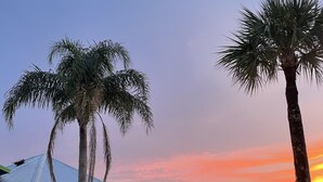 A waterfront property with a wooden deck, palm trees, and a building with a blue roof. - Harbour Village: golf, two beds, two baths, marina, and most spectacular beach.  (Ponce Inlet)
