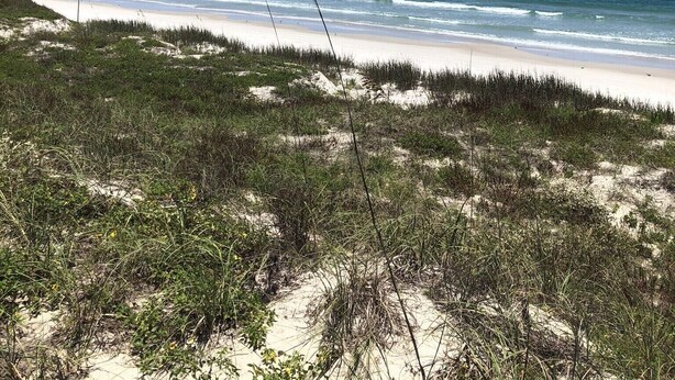 A beach with clear skies and ocean waves. - Harbour Village: golf, two beds, two baths, marina, and most spectacular beach.  (Ponce Inlet)
