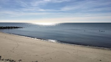 Perto da praia, espreguiçadeiras