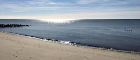 Una spiaggia nelle vicinanze, lettini da mare