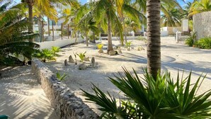A sandy outdoor area with palm trees and a stone wall. - La Tintinki, amaizing ocean view!! (Chelém)