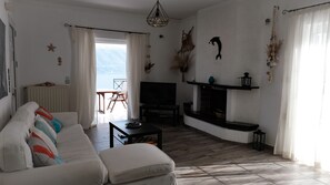 TV, fireplace, books