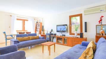 Fernseher, Kamin, DVD-Player, Bücher
