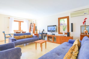 Télévision, cheminée, lecteur de DVD, livres