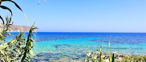 Playa en los alrededores