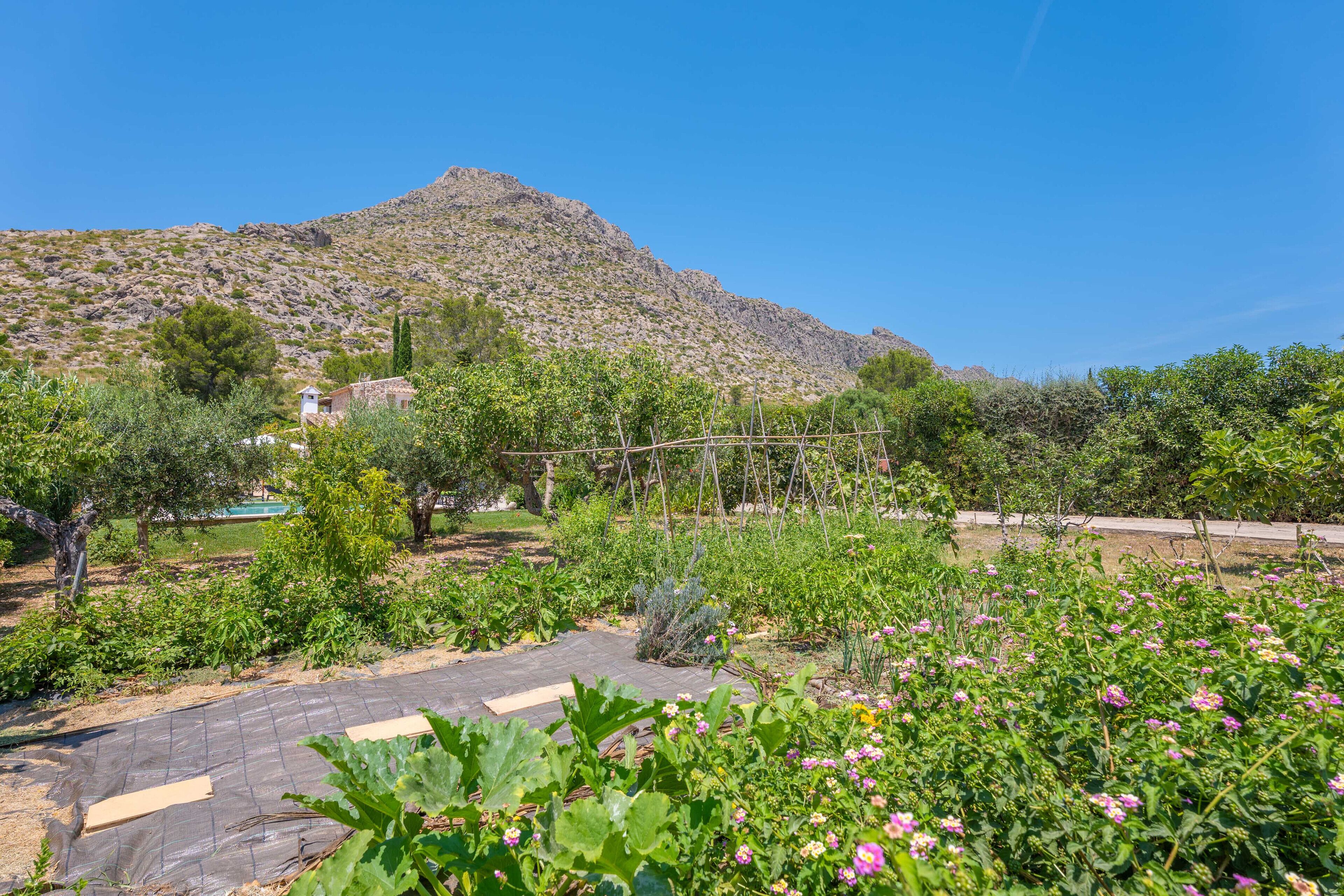 Jardines del alojamiento