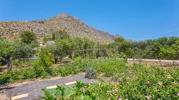 Jardines del alojamiento