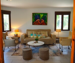 TV connectée, cheminée, lecteur de DVD, livres