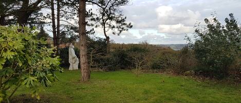 Área da propriedade