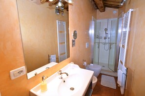 Shower, hair dryer, bidet, towels