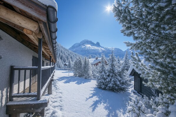 Property grounds - Chalet Du Croz 1er, Le Tour (Argentière), France (Le Tour (Argentière))