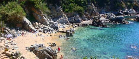 Una spiaggia nelle vicinanze