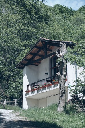 A white building with a balcony, surrounded by lush greenery and a tree. - Toki Ona cottage for 22 people (Navarra)