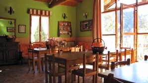 Comedor con muebles de madera, pared verde y ventanas amplias.