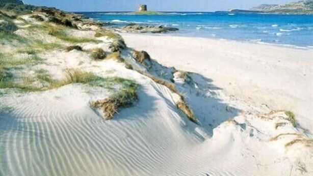 Une plage de sable blanc, une zone herbeuse et une petite construction visible au loin.