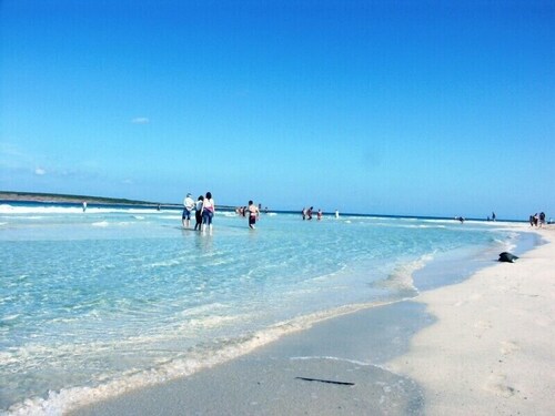 Stintino Villa Macchia Blu with garden and swimming pool 5 sleeps