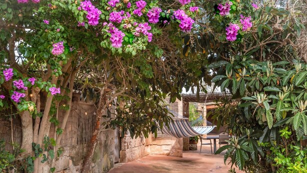 A pathway leading through a garden with a hammock and a table, surrounded by lush greenery and flowering plants.
