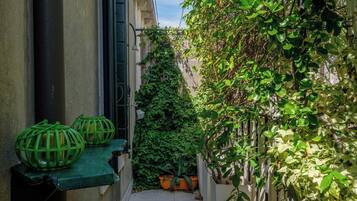 Un stretto vicolo con una panchina verde, piante in vaso e un muro ricoperto di piante rampicanti.