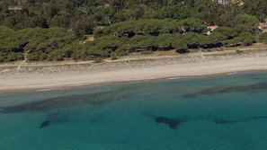 Vue aĂ©rienne dâune zone cĂŽtiĂšre avec une plage de sable, une forĂȘt verdoyante et luxuriante, et des eaux turquoise cristallines.