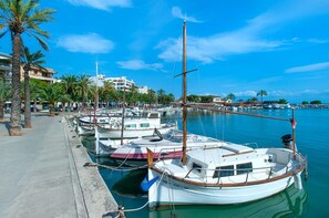 Stroll along the marina, surrounded by palm trees and boats docked along the quay.