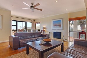 TV, fireplace, DVD player, books