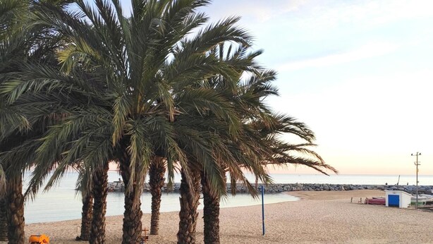 A beach with palm trees, a sandy shore, and a calm sea. - Villa Bunganvilla, Calonge - Costa Brava (Calonge)