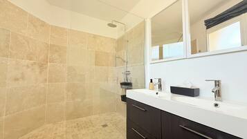 Combined shower/tub, hair dryer, towels