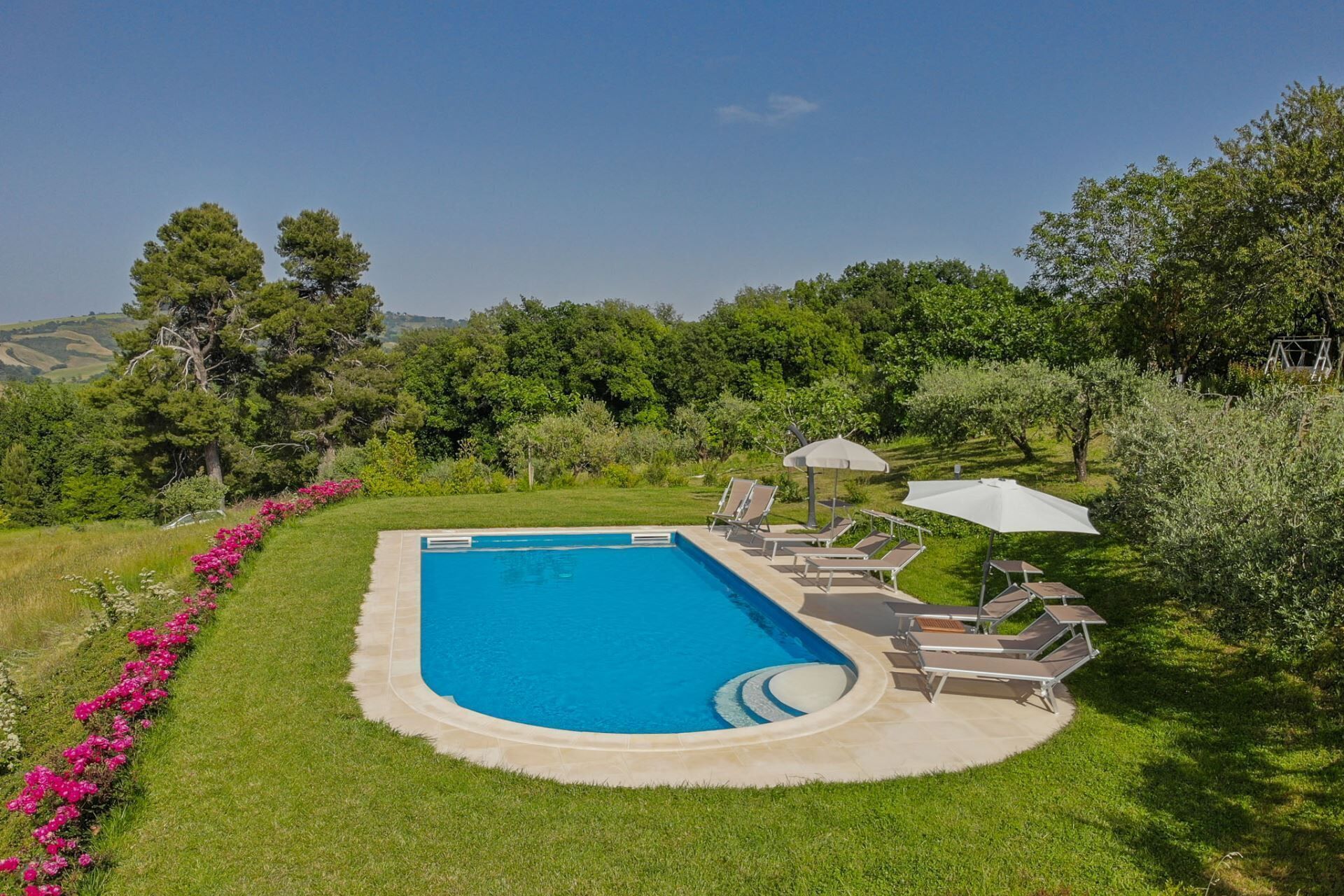 A rectangular swimming pool with a tiled edge, surrounded by a grassy area with a row of pink flowers. There are several lounge chairs and umbrellas around the pool.