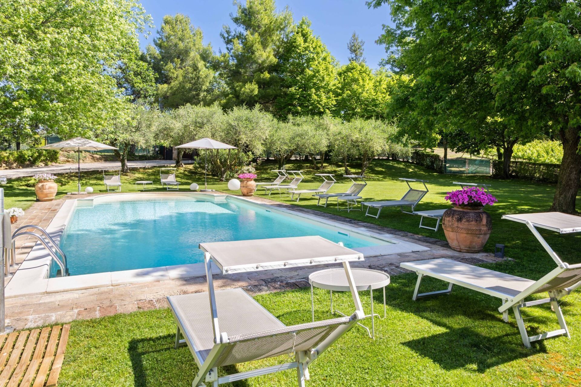 A swimming pool with lounge chairs and a flower pot.