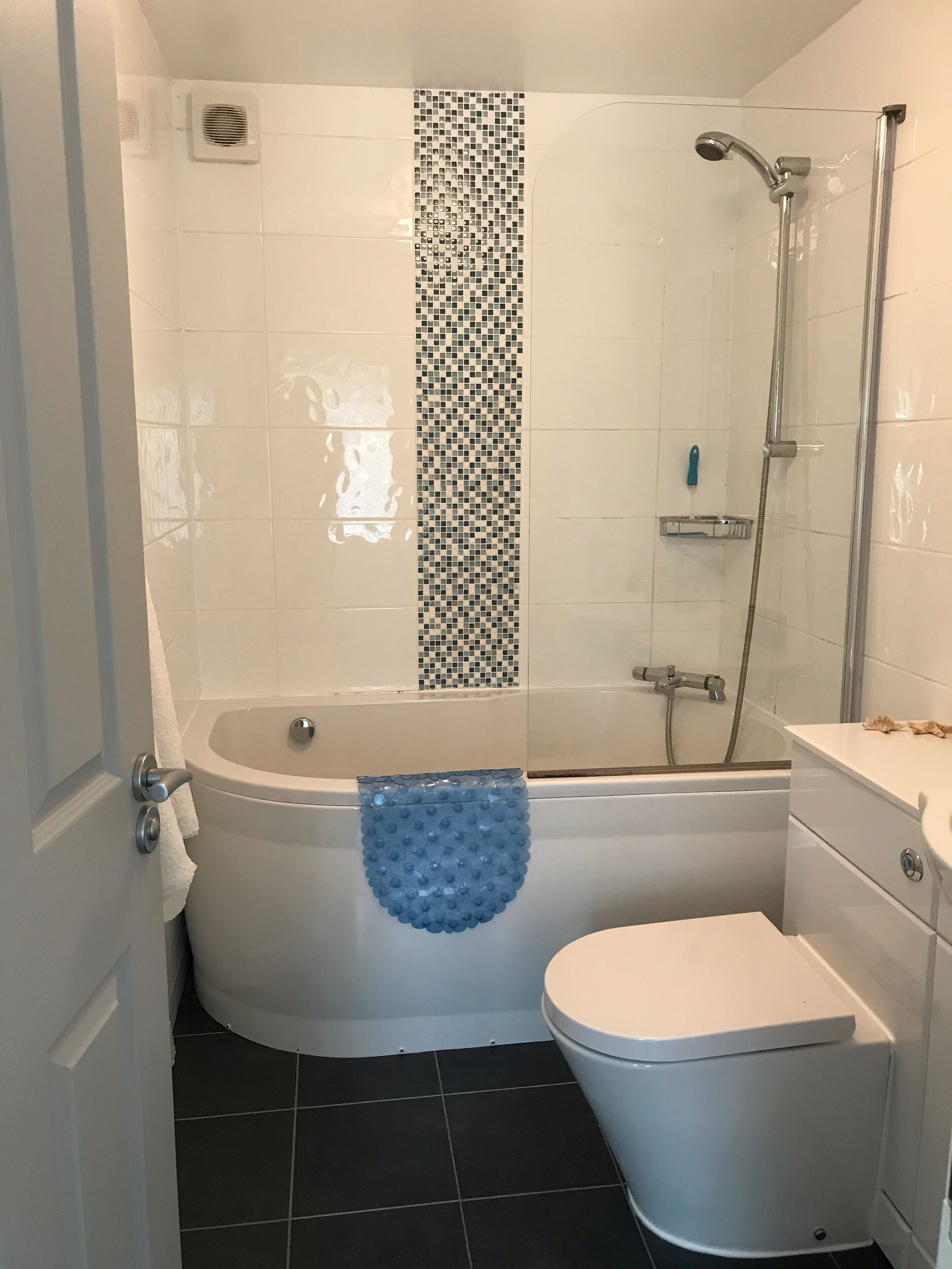 Combined shower/bathtub, hair dryer, towels, toilet paper
