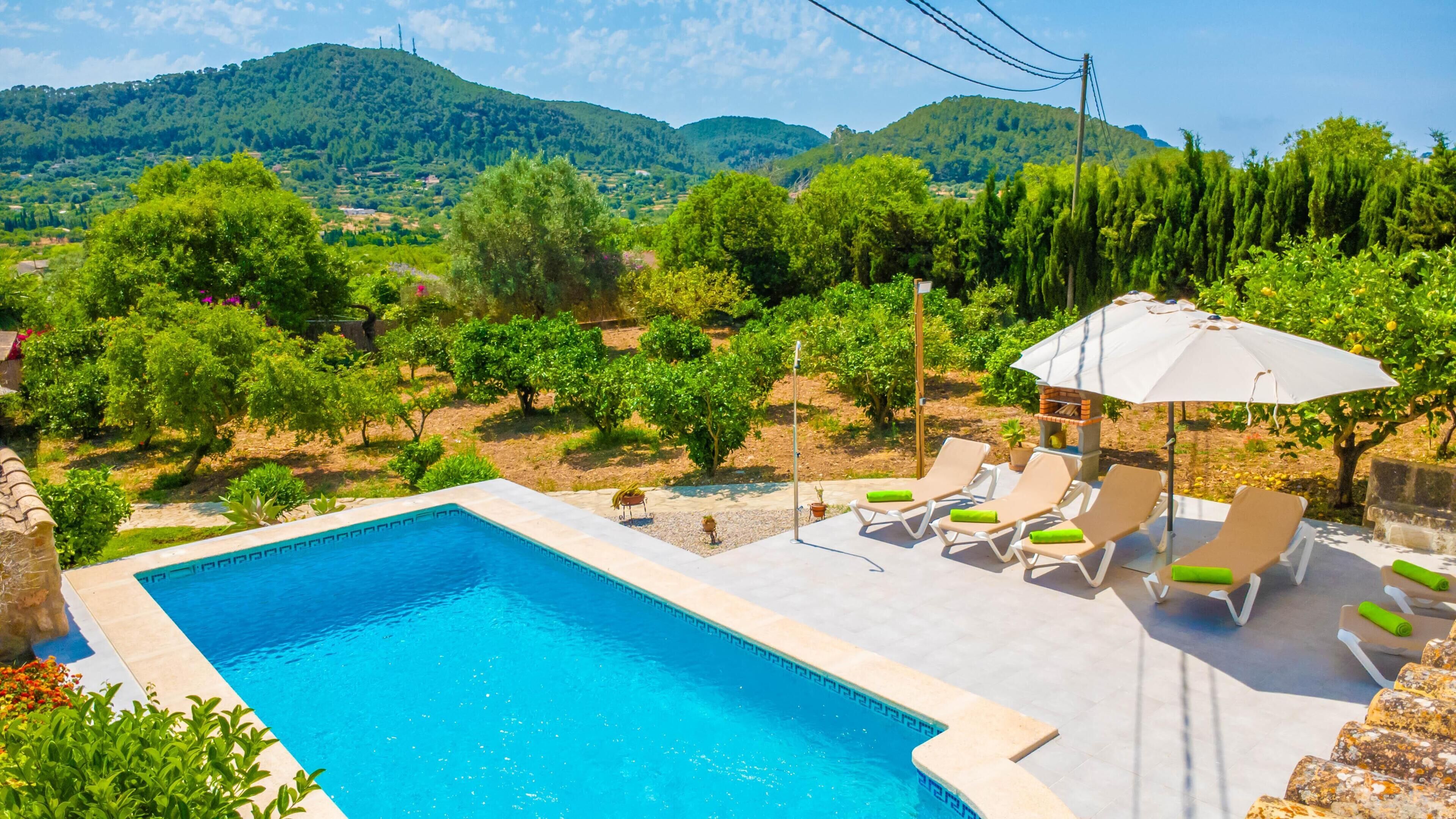 Uma piscina com espreguiçadeiras e um guarda-sol, rodeada por vegetação e colinas.
