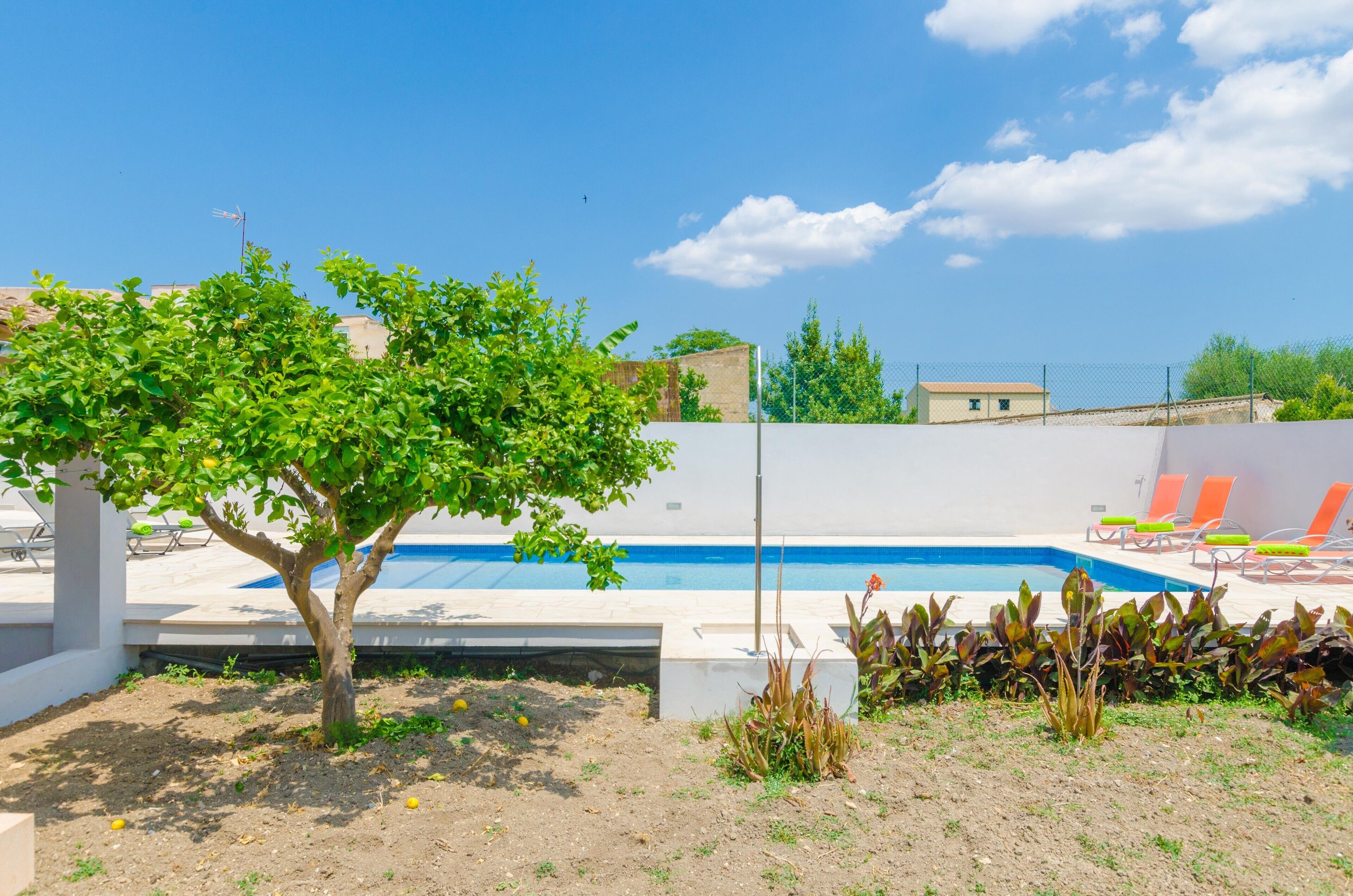 Une piscine avec des chaises longues, un arbre et un bâtiment en arrière-plan.