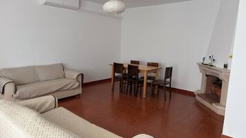 TV, fireplace, DVD player, books