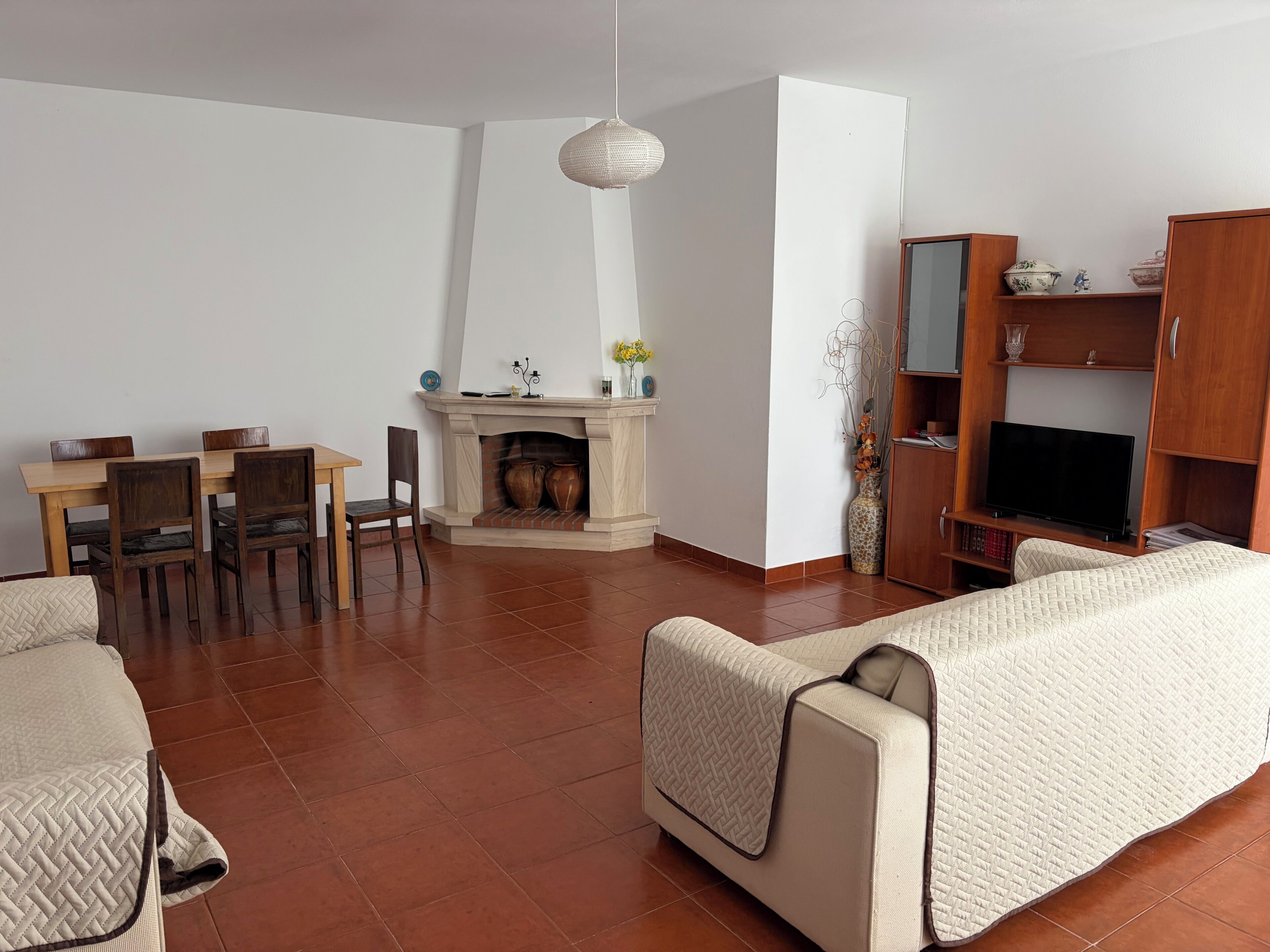 TV, fireplace, DVD player, books